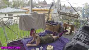 sophia-meow-sploshing-on-her-patio_1.jpg